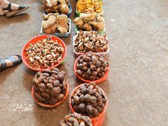 -云南木水花野生菌交易中心