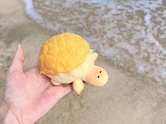 -广东惠东海龟国家级自然保护区