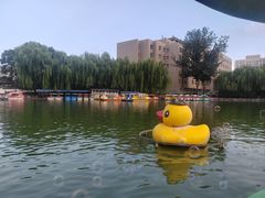-团结湖公园