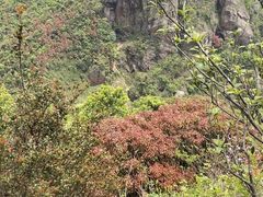 -鸡枕山