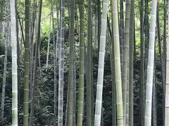 -黄公望隐居地