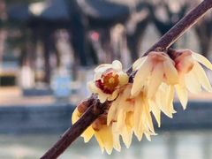 -中国农业博物馆