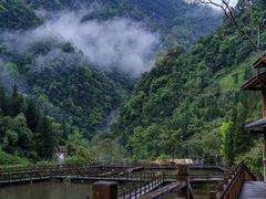 -龙苍沟森林公园