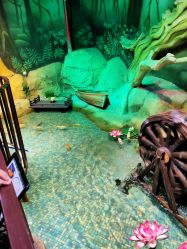 -酷嗒动物文化乐园(cutezoo西溪乐天城店)