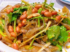 凉拌鱼皮-粤·向群饭店(龙津东路总店)