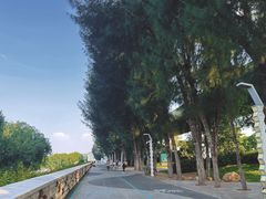 -宝安西湾红树林湿地公园