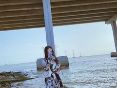 -宝安西湾红树林湿地公园