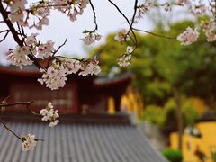 -鸡鸣寺