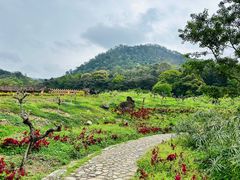 -广州市石门国家森林公园