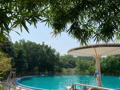 -南宁良凤江国家森林公园