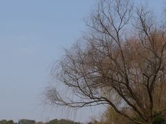 -常德桃花源景区