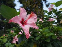 -娜娜度假小旅馆