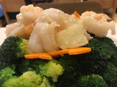 -裕.鹅庄
