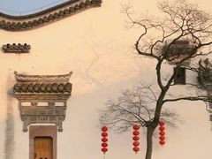 -广富林郊野公园