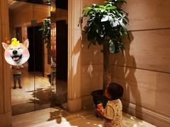 -泉州悦华酒店·自助餐厅