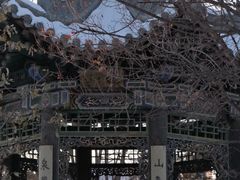 -善化寺