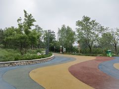 -东郊湿地公园