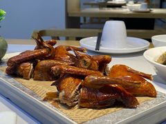 -鸽小宝(深圳首店)