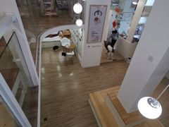 -李小姐の猫咖啡馆(五角场店)