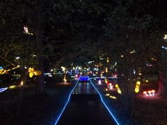 -吉林市朱雀山国家森林公园