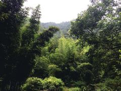 -黄公望隐居地
