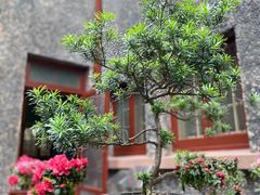 -上海孙中山故居纪念馆