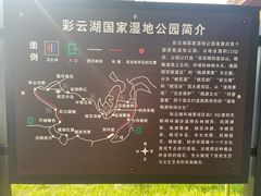 -重庆彩云湖湿地公园