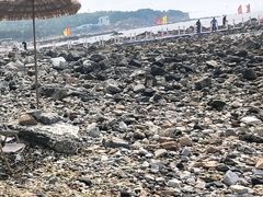 -养马岛旅游度假区