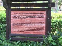 -宋井风景区