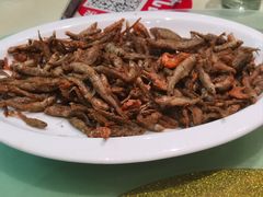 小鱼小虾-旅宁大酒店