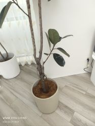 -HEYAN荷妍专业脱毛连锁机构
