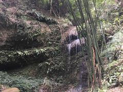 -川西竹海景区