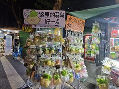 -巴公房子