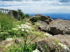 -白草畔自然风景区