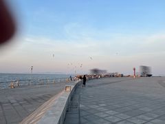 -东港音乐喷泉广场