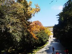-灵谷景区
