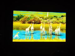 -罗红摄影艺术馆