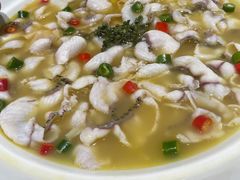 -青花椒花椒鱼(合生汇店)