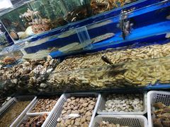 -三旗百汇商品城