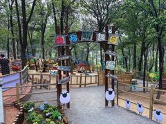 -沂蒙山旅游区云蒙景区(蒙山国家森林公园)