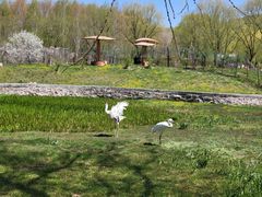 -哈尔滨北方森林动物园