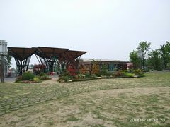 -上海长兴岛郊野公园