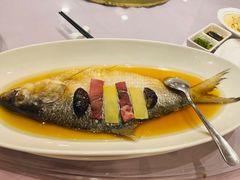 酒香鲥鱼-顺风海鲜港(金玉兰店)
