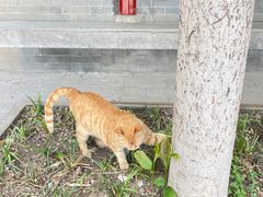 -宣南文化博物馆