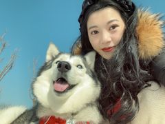 -爪吧宠物乐园·宠物泳池(温榆河示范区店)