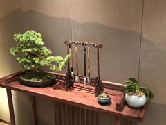 -梅间堂茶馆(绿地缤纷城店)