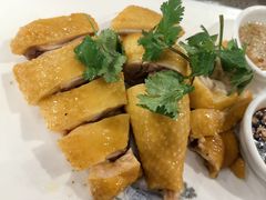 -金龙寨(龙城路店)