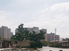 -八大山人梅湖景区