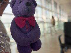 -青岛胶东国际机场