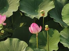 -卫鼎轩·家宴(水上公园店)